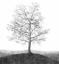 "Einsamer Baum"